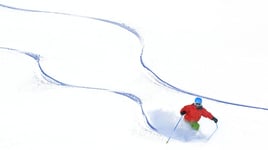 plot-article-ski2-email
