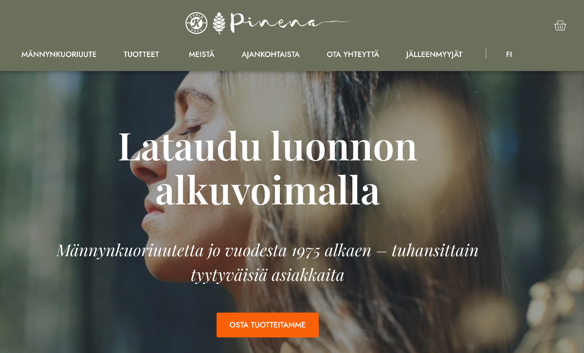 uusi pinena.fi